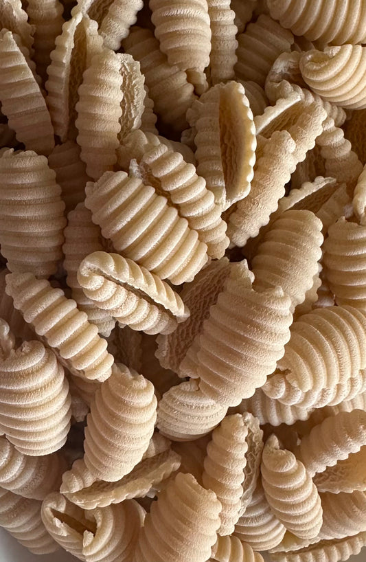 Gnocchetti sardi grano varietà Giulio