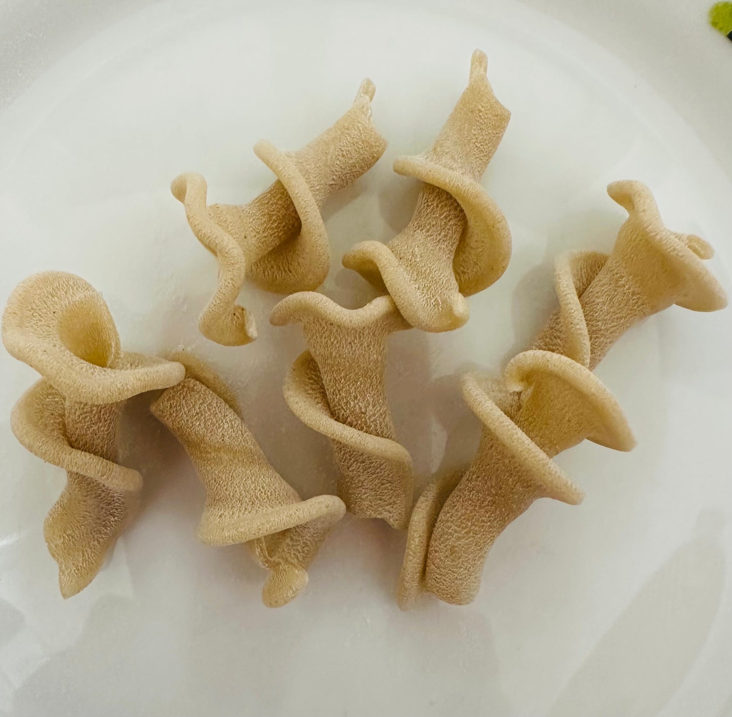 Gigli di grano duro Senatore Varietà Cappelli